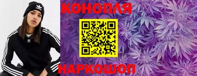 индика Пушкино