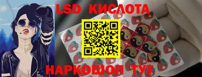 стафф Пенза