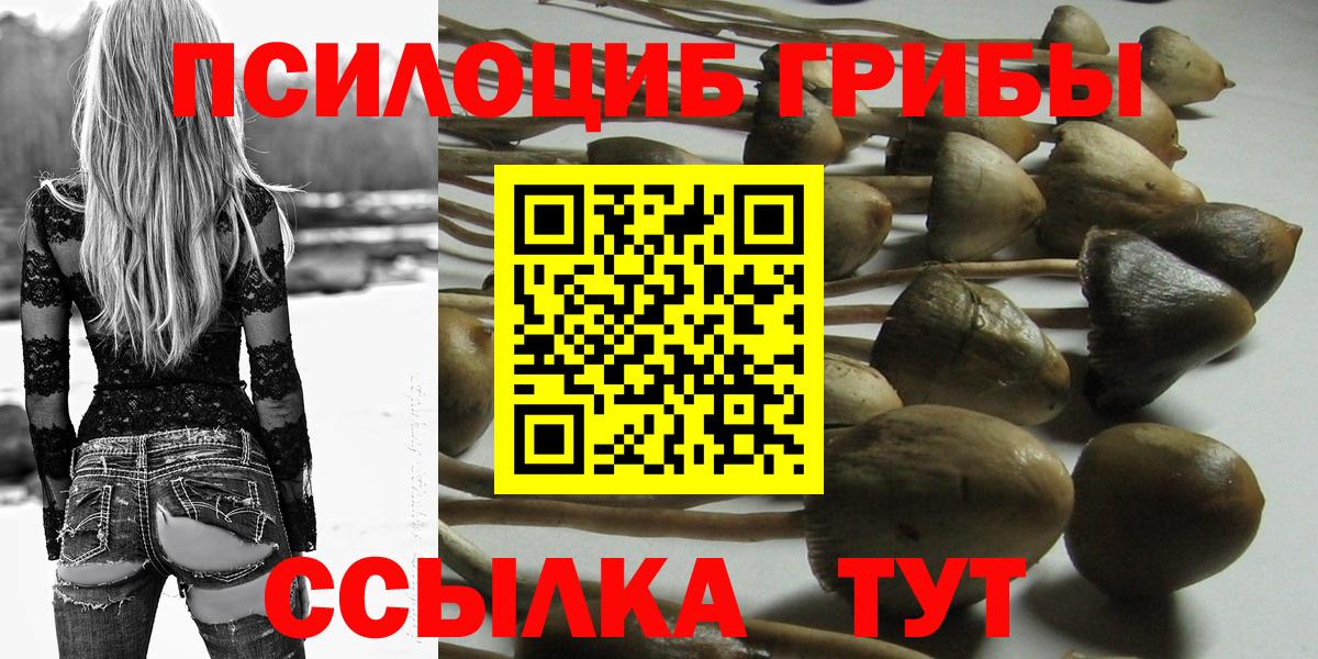 Галлюциногенные грибы MAGIC MUSHROOMS Сухой Лог